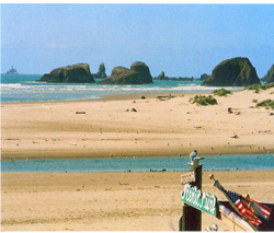 Looking toward the Tillamook Lighthouse from Webb's