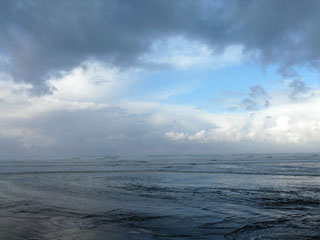 A Patch of Blue